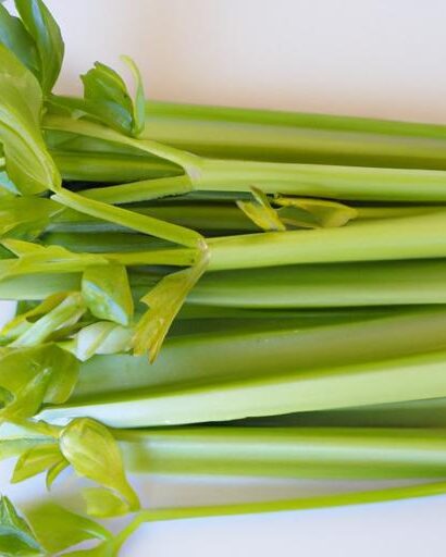 Crunchy Creations: Exploring Delicious Celery Dish Ideas